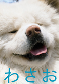 わさお