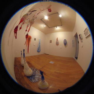 gallery room in fisheye lite.jpg