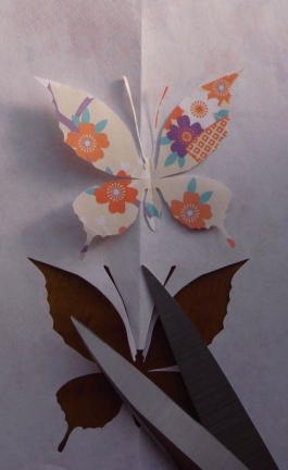 ؂莆@傤@paper toy butterfly