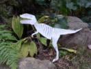 @؂莆@paper toy dinosaur