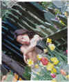 charu4.jpg (89763 �o�C�g)
