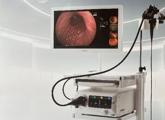 小渋医院（千葉市緑区）土気・あすみが丘・大網・誉田・市原エリアで行う胃カメラ（上部消化管内視鏡検査）