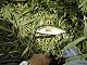 05220007-1.jpg