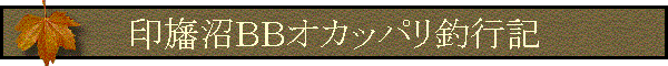 ׏aaIJbpލsL