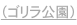 shapeimage_2_link_2