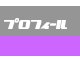�v���t�B�[��
