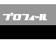 �v���t�B�[��