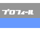 �v���t�B�[��