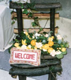 welcome!