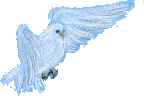 ng