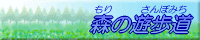 森の遊歩道