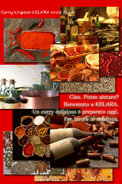 Original Curry Studio KELARA since 2000