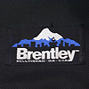 Brentley 3way Bag