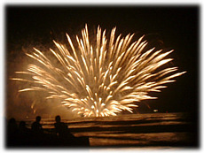 200308_HANABI.JPG - 24,792BYTES