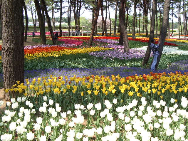 `[bv@ЂCl@07/04/28