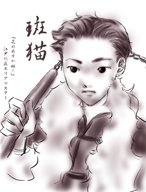 斑猫