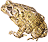 �g�b�v�̉摜