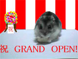 GRAND@OPEN!!