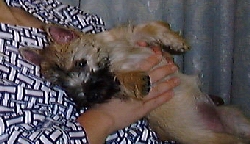 spoiled2