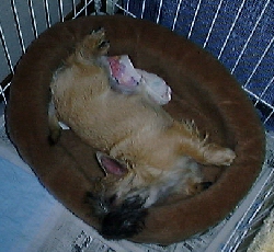 spoiled3