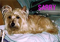 sarry