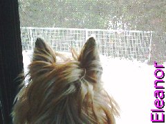 �P�A���e���A