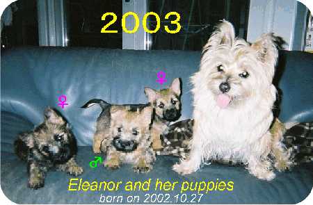 Eleanor's photo