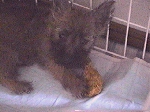 Eleanor