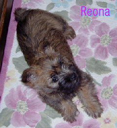 reona2