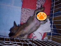 sleeping