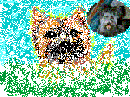 picture of cairn