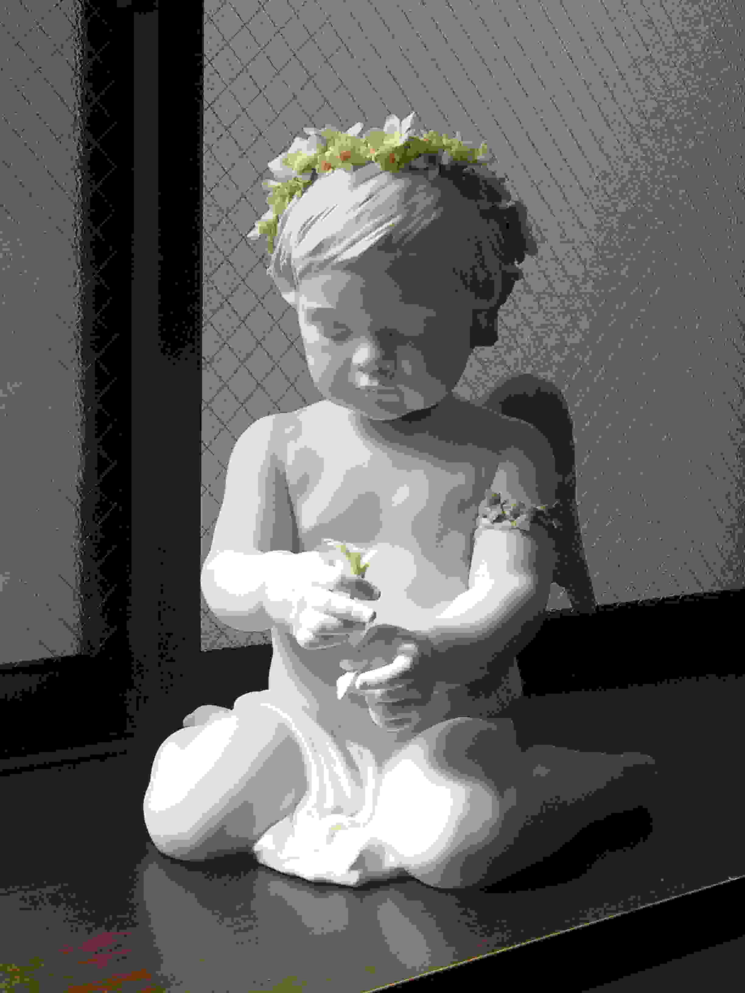 �T���v���ʐ^