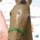 Nbf@LnEX('02)@2002/01/07