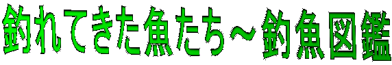 ނĂ`ދ}