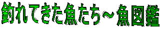 ނĂ`}