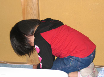 hansei