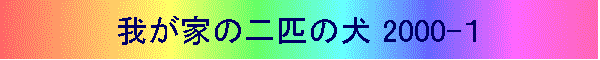 䂪Ƃ̓Č 2000-P