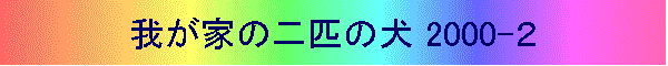 䂪Ƃ̓Č 2000-Q