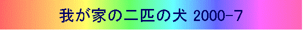 䂪Ƃ̓Č 2000-V