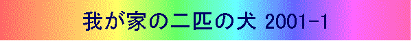 䂪Ƃ̓Č 2001-1