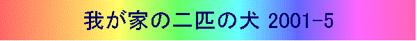 䂪Ƃ̓Č 2001-5