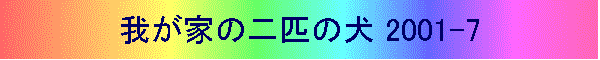 䂪Ƃ̓Č 2001-7