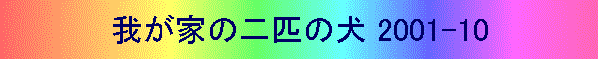 䂪Ƃ̓Č 2001-10