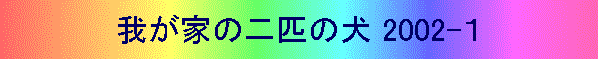 䂪Ƃ̓Č 2002-P