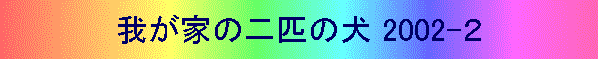 䂪Ƃ̓Č 2002-Q