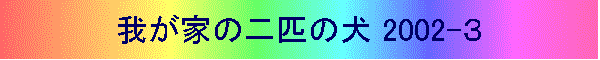 䂪Ƃ̓Č 2002-R
