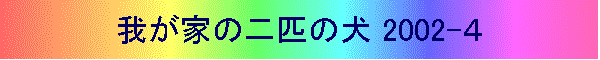 䂪Ƃ̓Č 2002-S