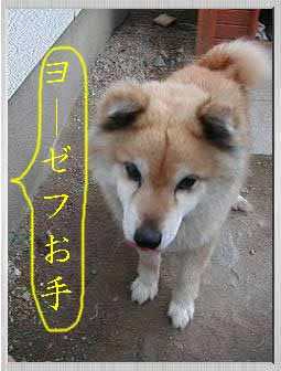 u[[tAIIA͂IIv