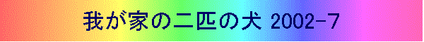 䂪Ƃ̓Č 2002-V