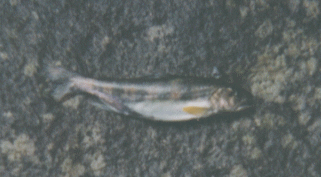 �t�m��ދ��ʐ^